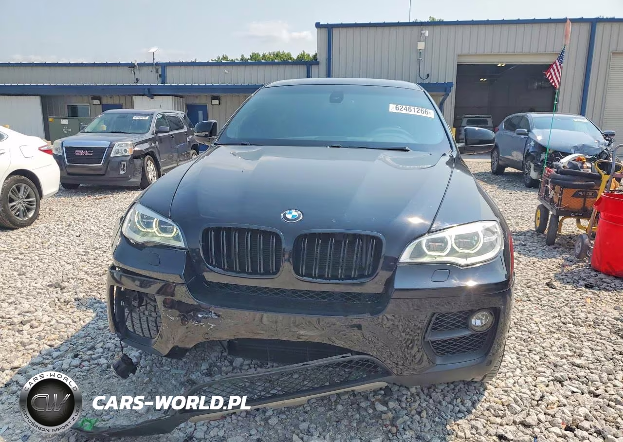 2013 BMW X6 xDrive35I VIN:5UXFG2C52DL787982 - 5