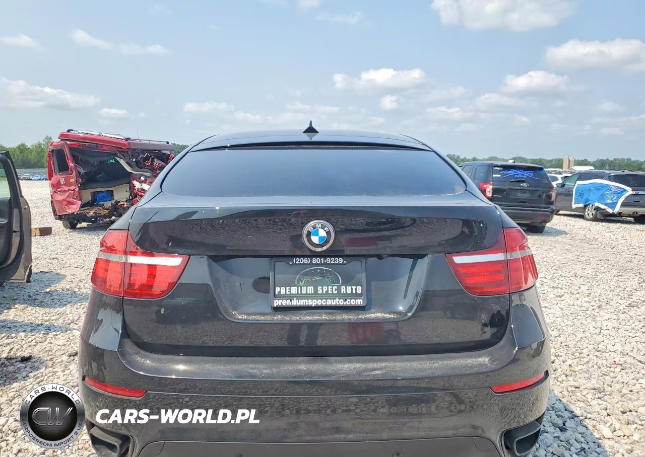 2013 BMW X6 xDrive35I VIN:5UXFG2C52DL787982 - 6