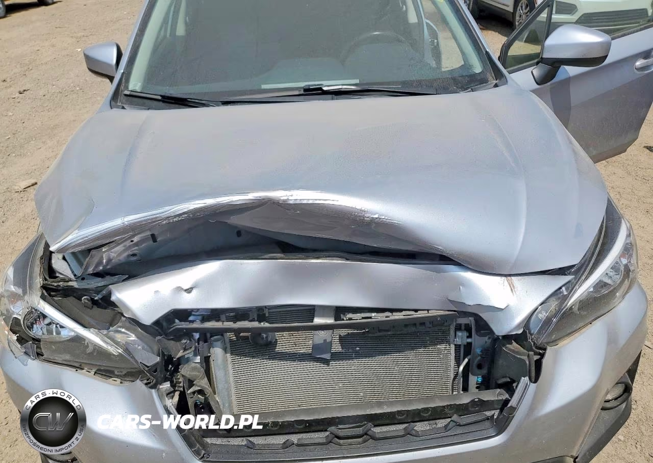 2019 Subaru Crosstrek Premium VIN:JF2GTACC0K8253326 - 12
