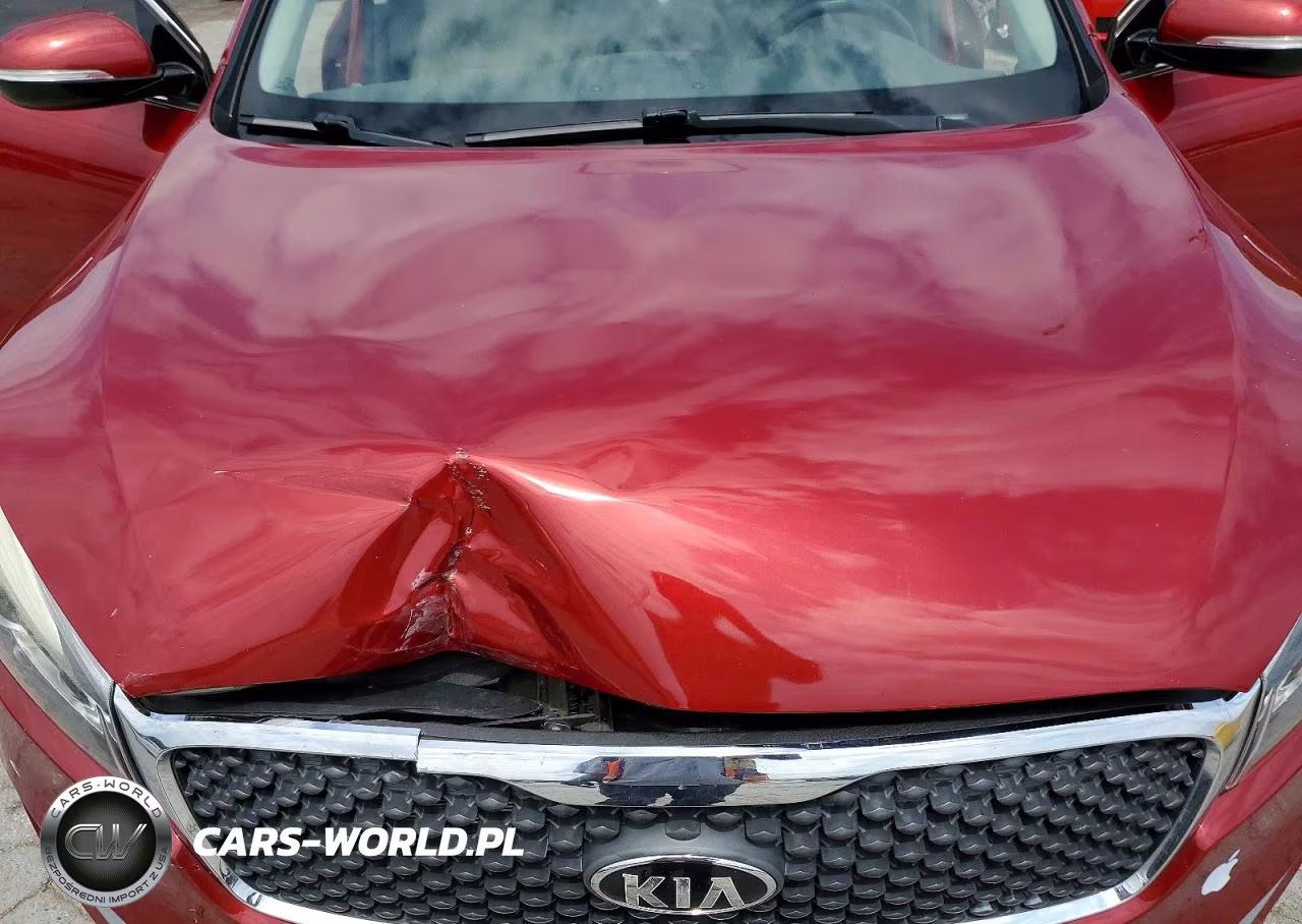 2018 Kia Sorento Lx VIN:5XYPG4A3XJG406275 - 12
