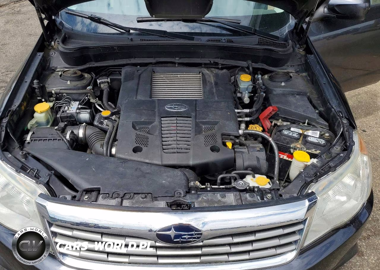 2010 Subaru Forester 2.5Xt Limited VIN:JF2SH6FC1AH723866 - 11