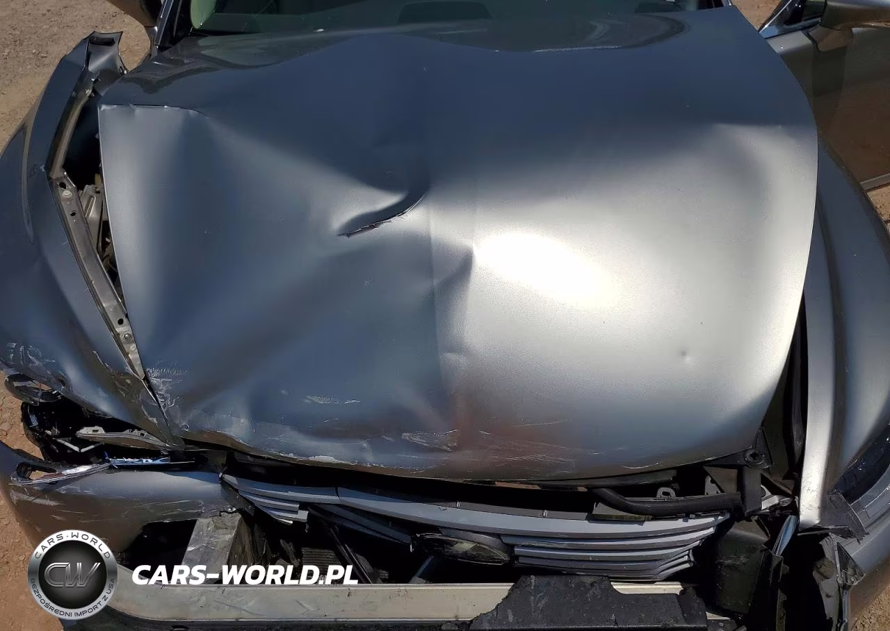 2016 Lexus Ls 460 VIN:JTHCL5EF2G5027520 - 11
