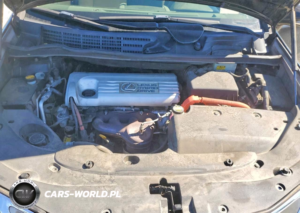 2010 Lexus Hs 250H VIN:JTHBB1BA5A2012809 - 11