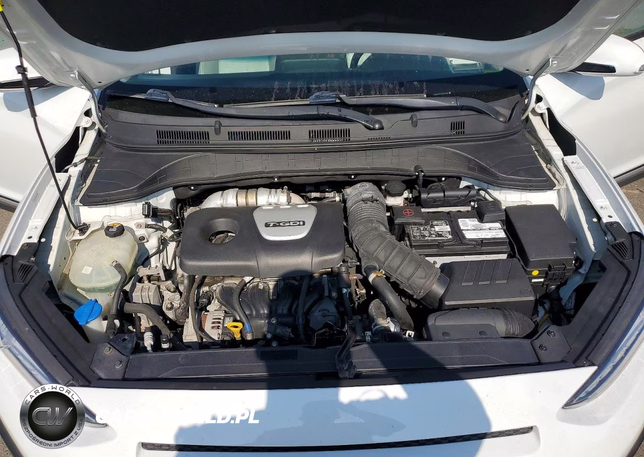 2019 Hyundai Kona Limited VIN:KM8K3CA54KU394833 - 12