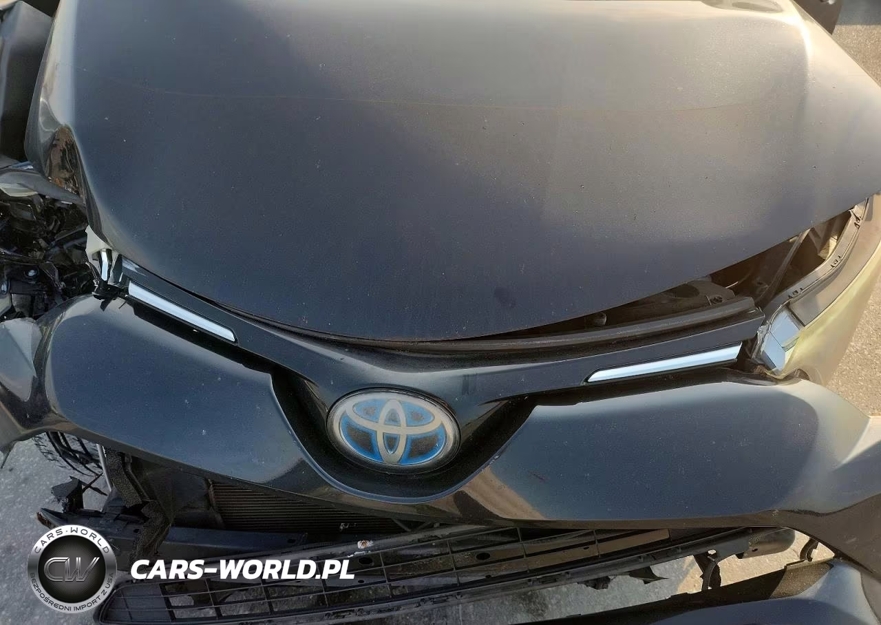 2016 Toyota Rav4 Hv Limited VIN:JTMDJREV7GD025942 - 11