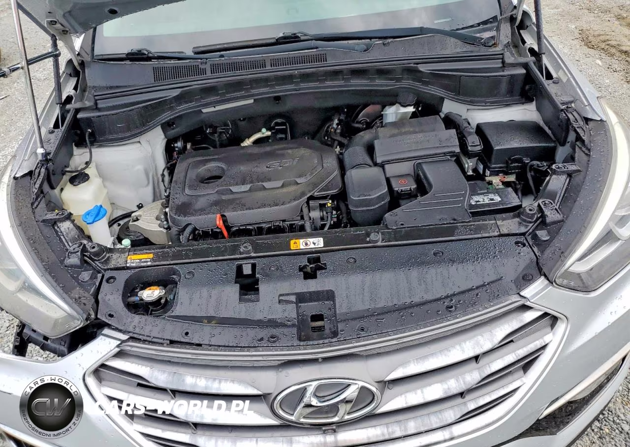 2017 Hyundai Santa Fe Sport 2.4L VIN:5XYZUDLB6HG383724 - 12