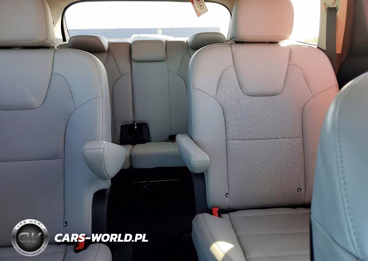 2021 Kia Telluride S VIN:5XYP6DHC1MG150847 - 10