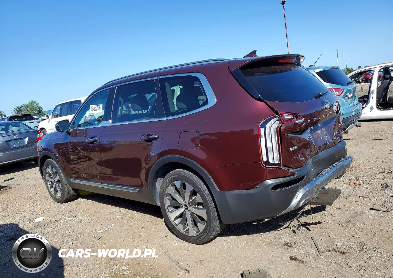 2021 Kia Telluride S VIN:5XYP6DHC1MG150847 - 2