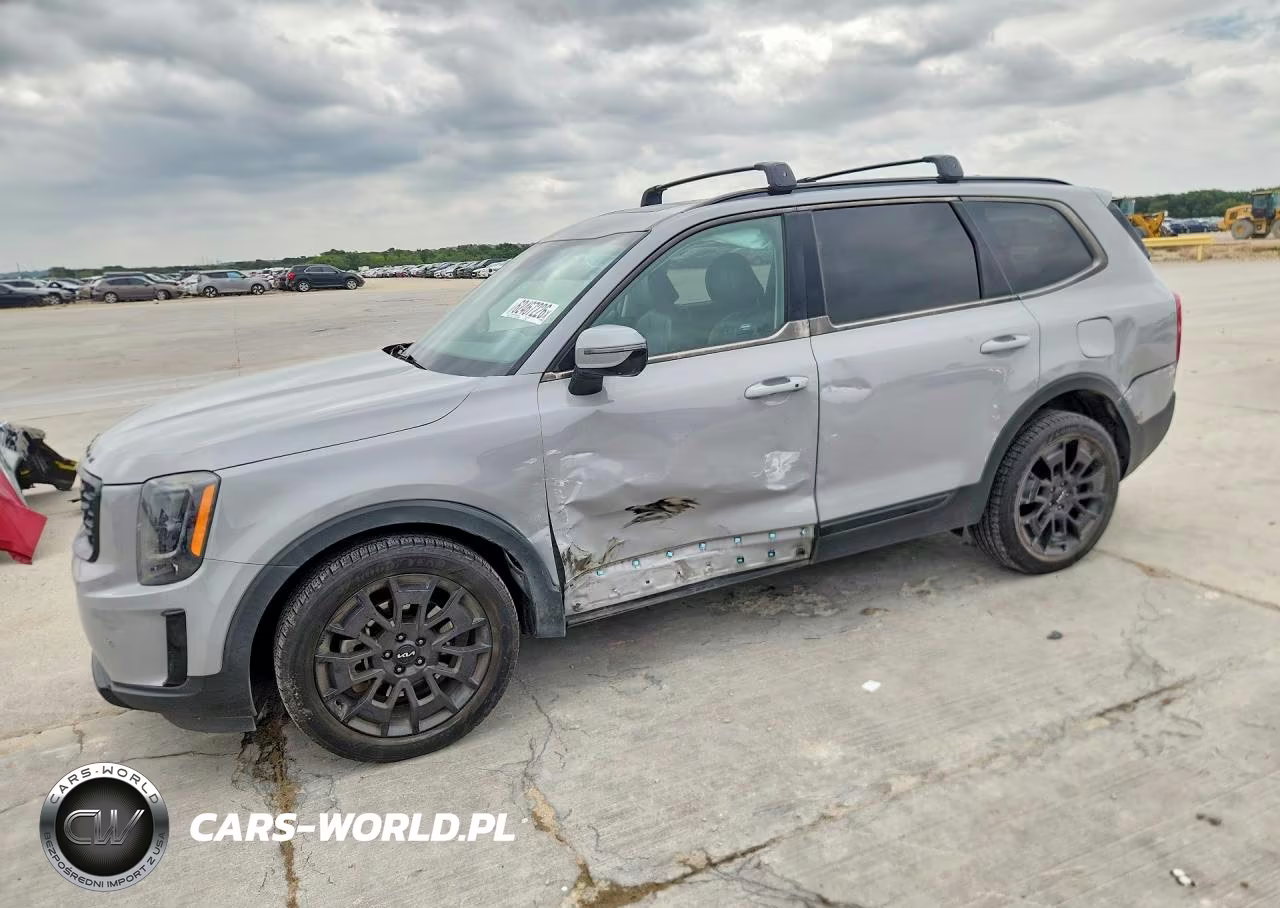 2022 Kia Telluride Sx VIN:5XYP5DHC3NG222023 - 1