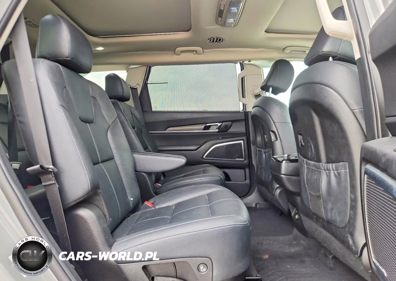 2022 Kia Telluride Sx VIN:5XYP5DHC3NG222023 - 11