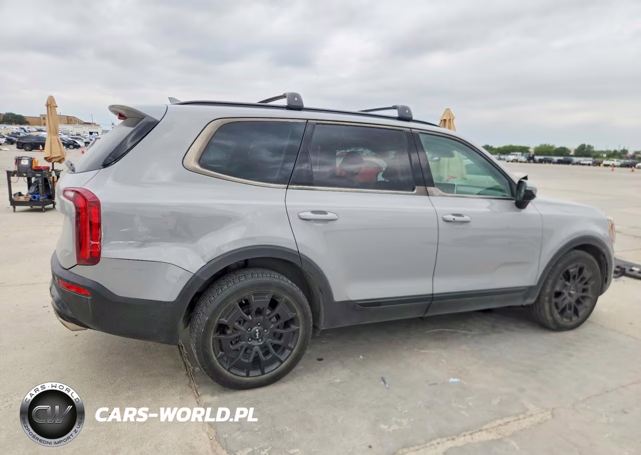 2022 Kia Telluride Sx VIN:5XYP5DHC3NG222023 - 3