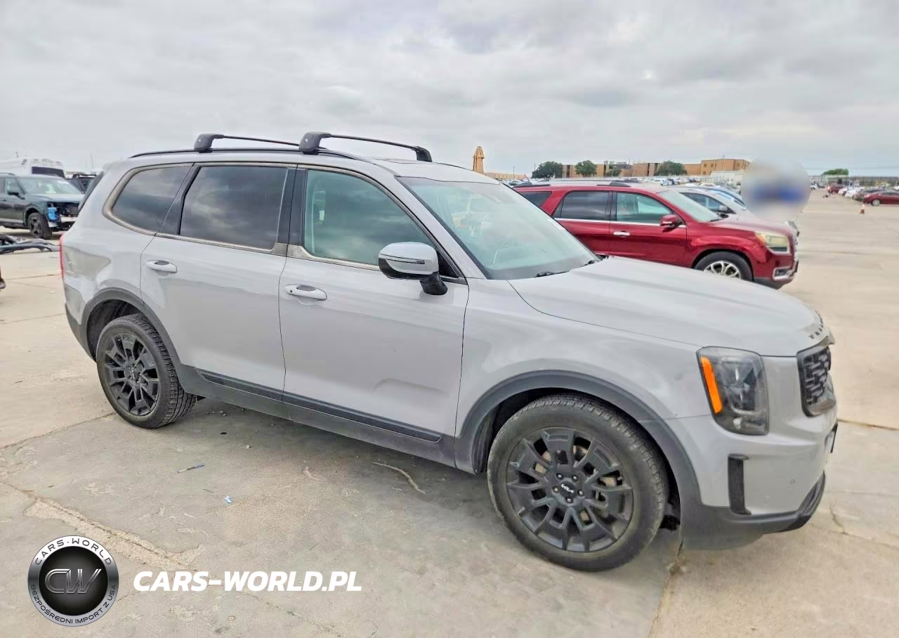 2022 Kia Telluride Sx VIN:5XYP5DHC3NG222023 - 4