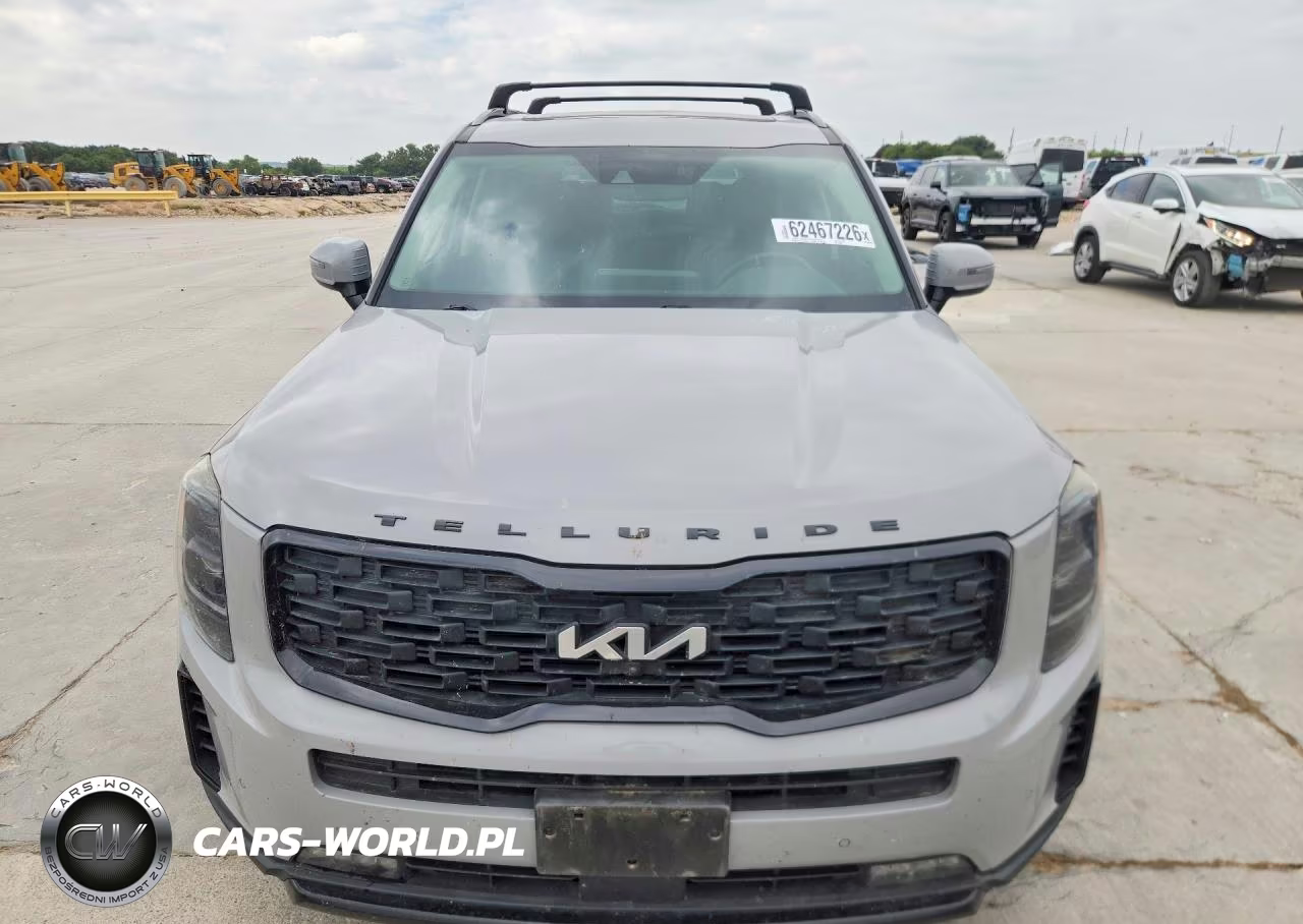 2022 Kia Telluride Sx VIN:5XYP5DHC3NG222023 - 5
