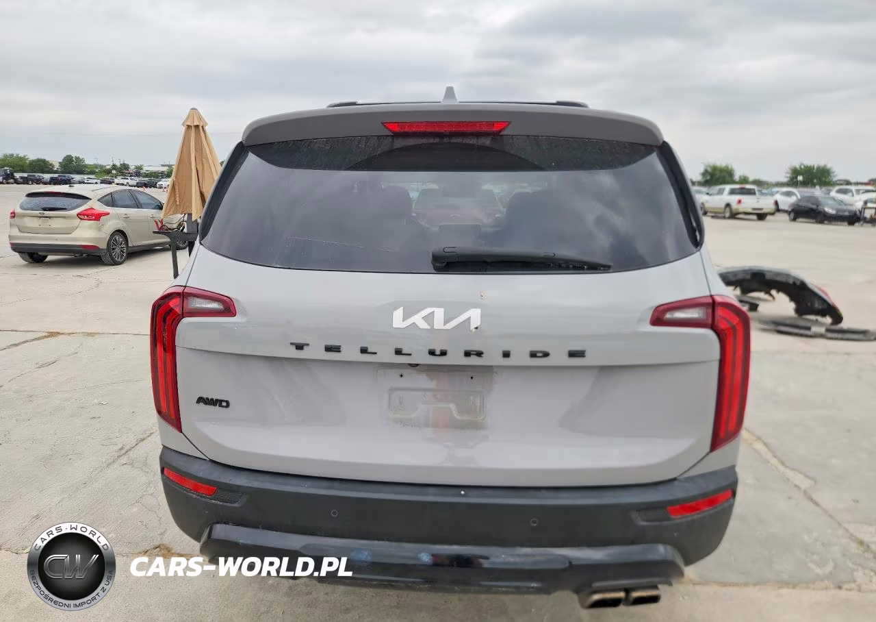 2022 Kia Telluride Sx VIN:5XYP5DHC3NG222023 - 6