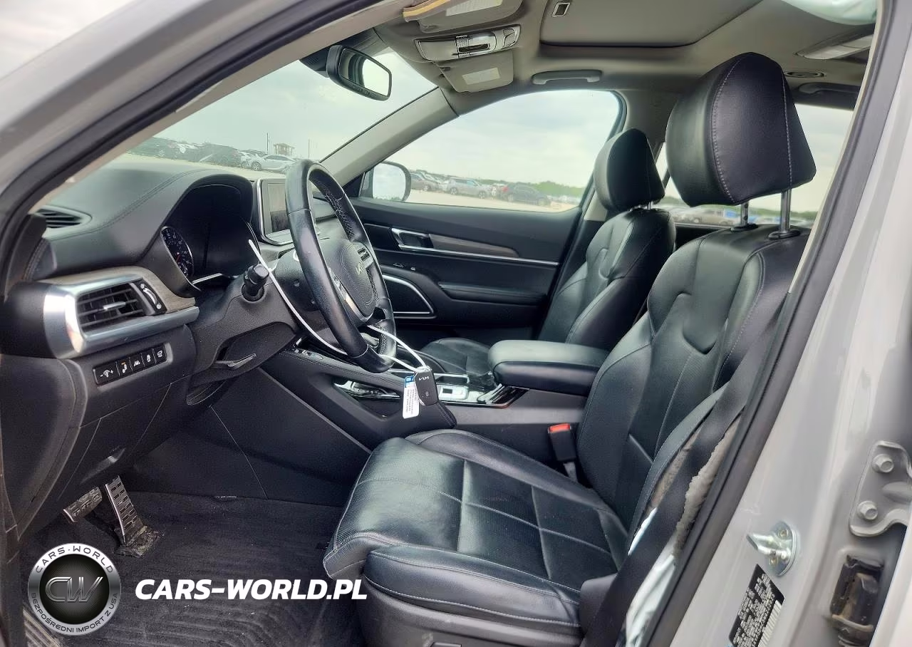 2022 Kia Telluride Sx VIN:5XYP5DHC3NG222023 - 7