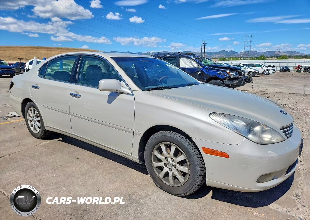 2003 Lexus Es 300 VIN:JTHBF30G336009992 - 4