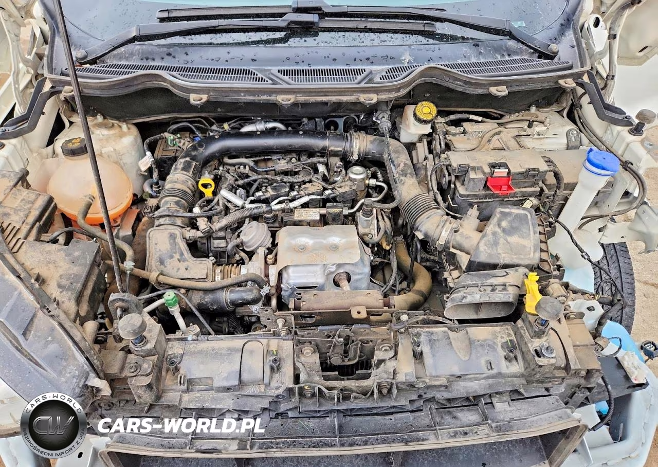 2018 Ford Ecosport Se VIN:MAJ3P1TE0JC230567 - 11