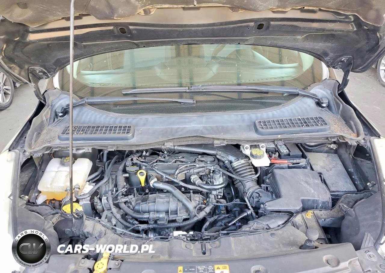 2014 Ford Escape Se VIN:1FMCU0GX9EUD65986 - 12