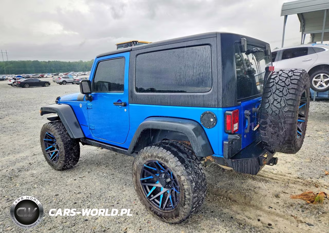 2016 Jeep Wrangler Rubicon VIN:1C4BJWCG0GL104451 - 2
