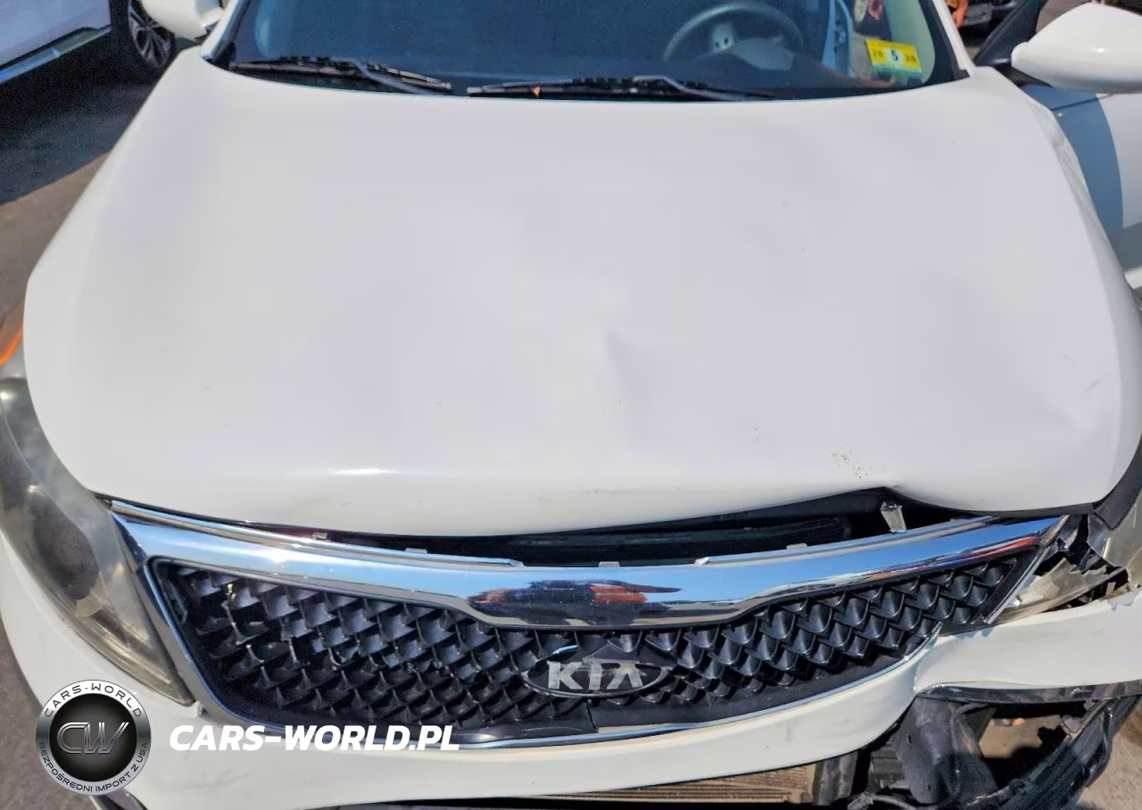 2016 Kia Sportage Lx VIN:KNDPB3AC2G7796609 - 12