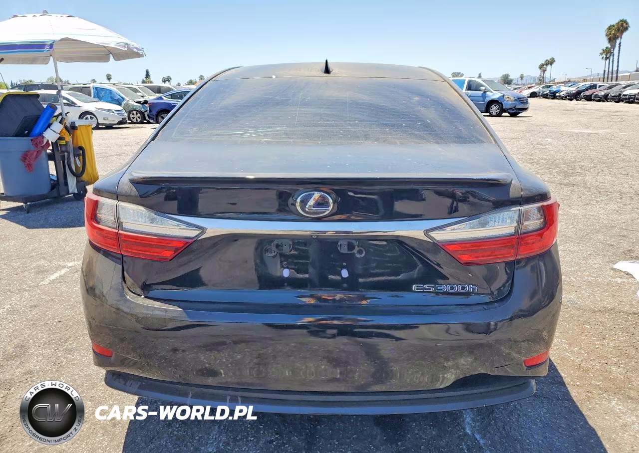2016 Lexus Es 300H VIN:JTHBW1GG3G2107802 - 6