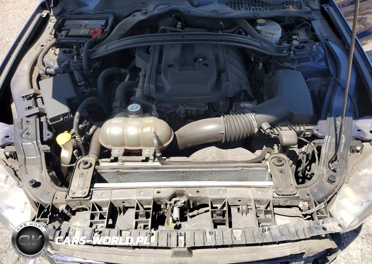 2019 Ford Mustang VIN:1FA6P8TH8K5125622 - 11