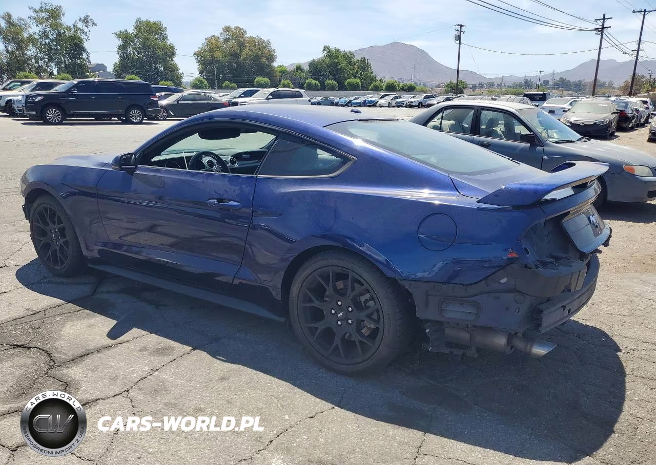 2019 Ford Mustang VIN:1FA6P8TH8K5125622 - 2