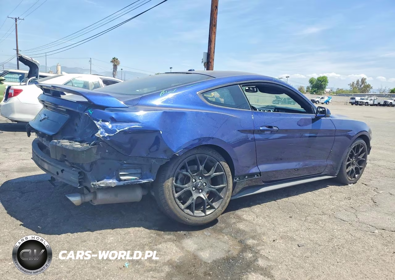 2019 Ford Mustang VIN:1FA6P8TH8K5125622 - 3