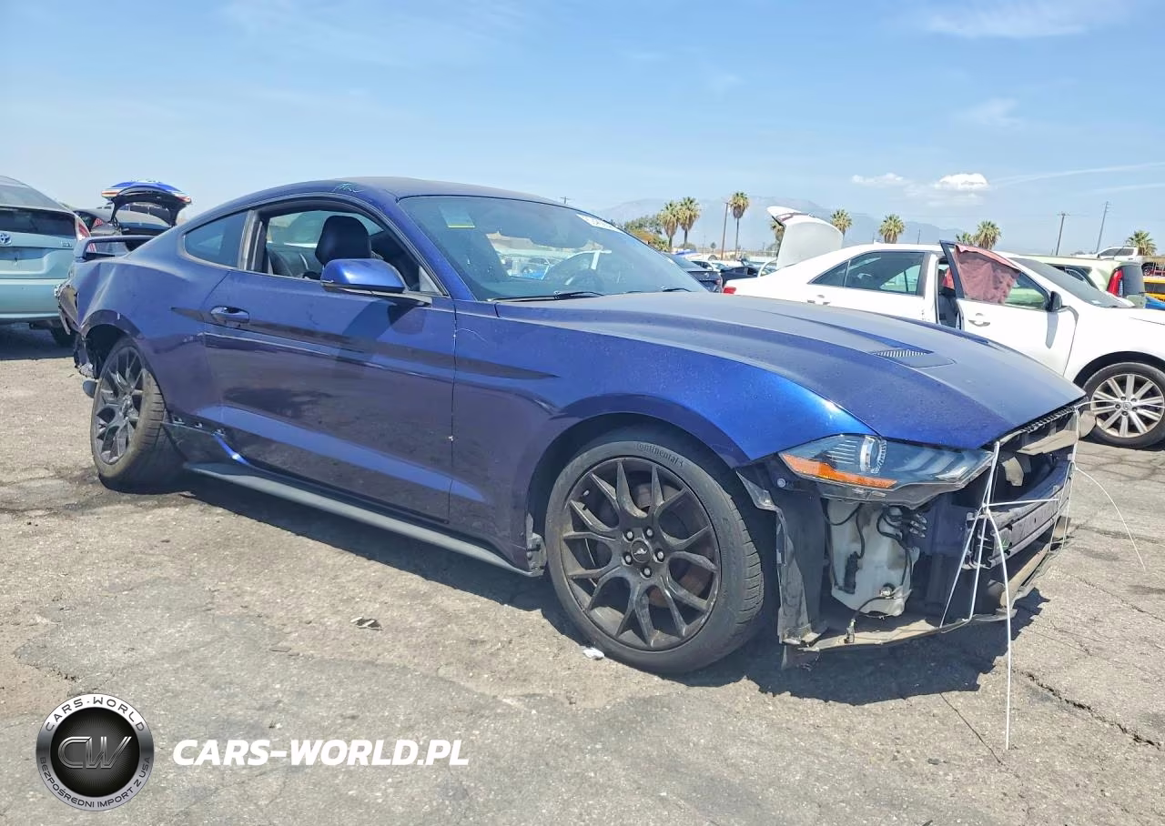 2019 Ford Mustang VIN:1FA6P8TH8K5125622 - 4