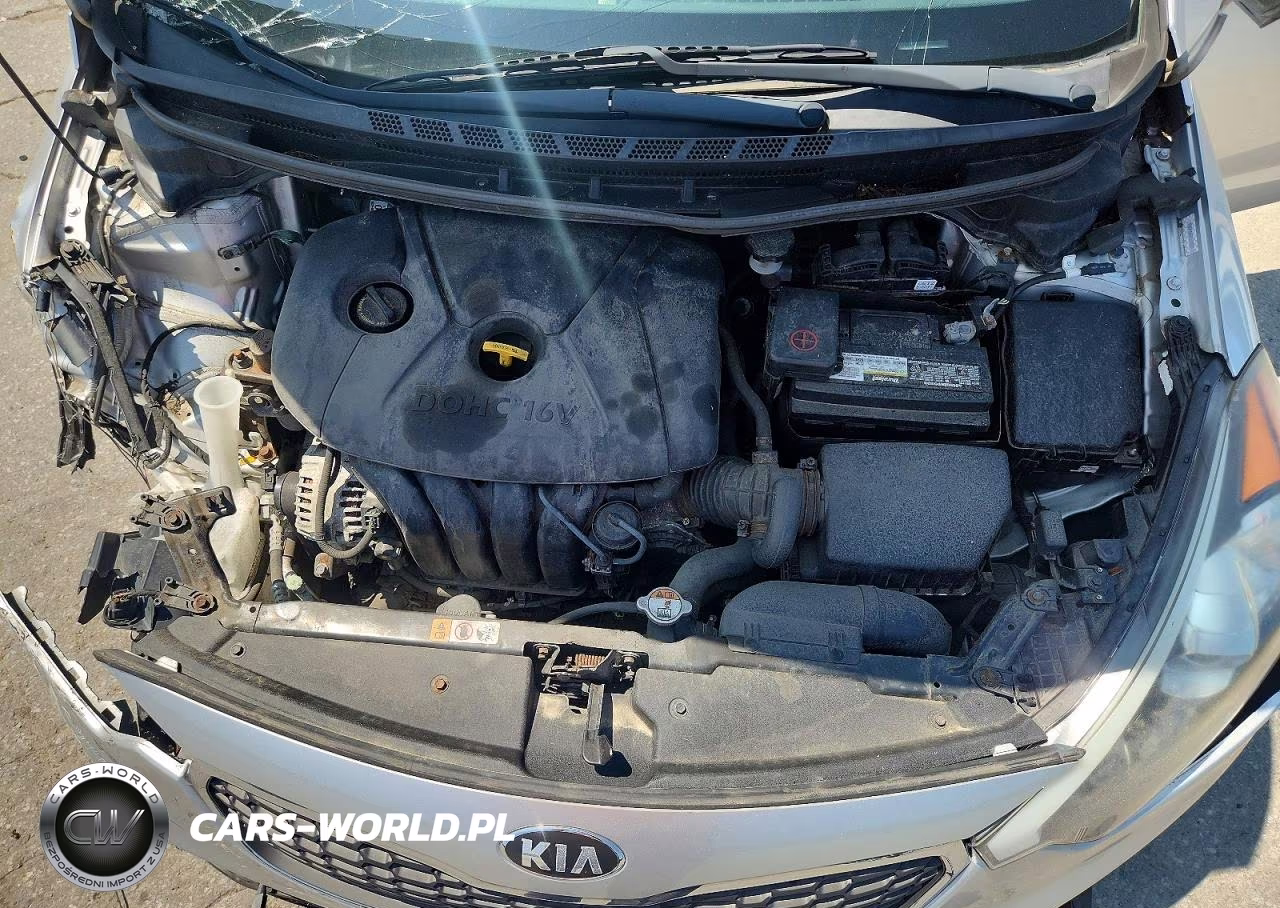 2014 Kia Forte Lx VIN:KNAFK4A67E5178591 - 11