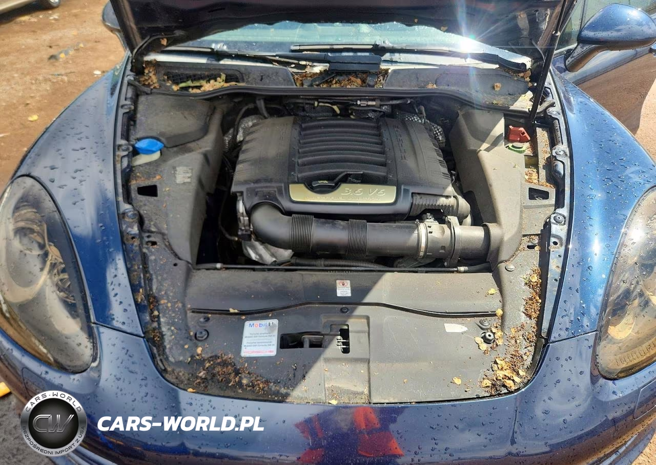 2011 Porsche Cayenne VIN:WP1AA2A24BLA09460 - 11
