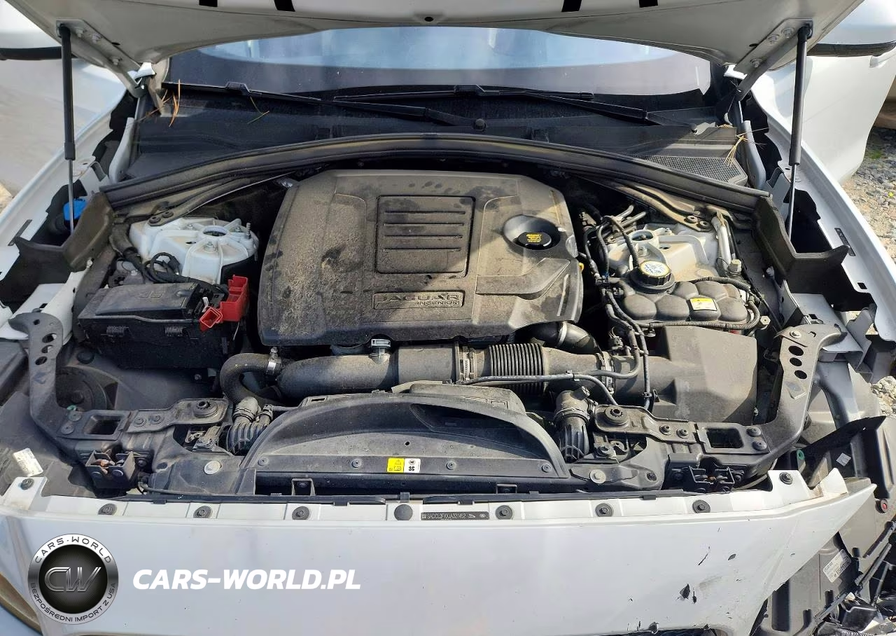 2018 Jaguar F-Pace R - Sport VIN:SADCL2FXXJA321452 - 12
