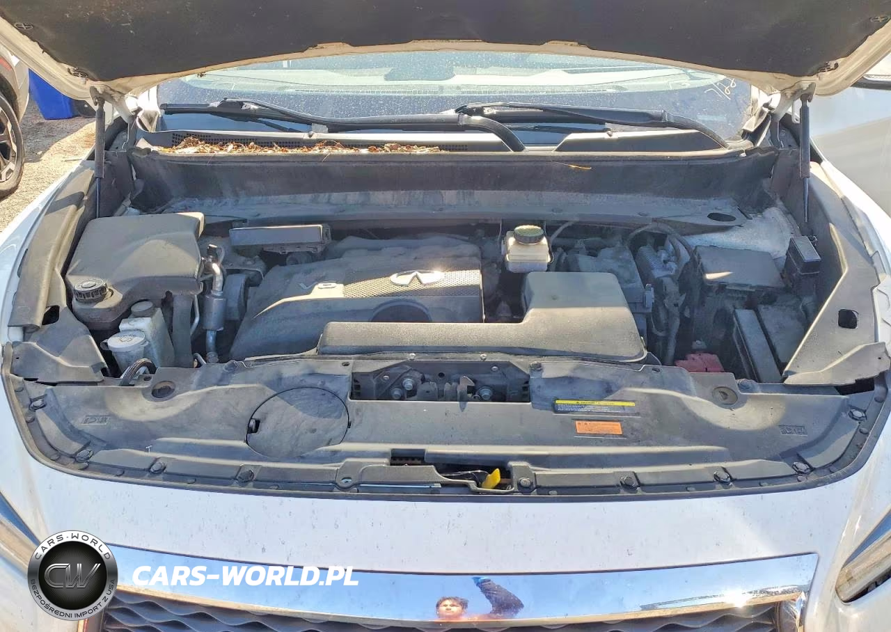 2019 Infiniti Qx60 Pure VIN:5N1DL0MM6KC554162 - 12