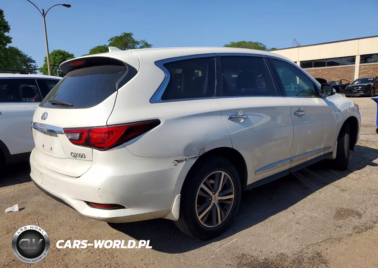 2019 Infiniti Qx60 Pure VIN:5N1DL0MM6KC554162 - 3
