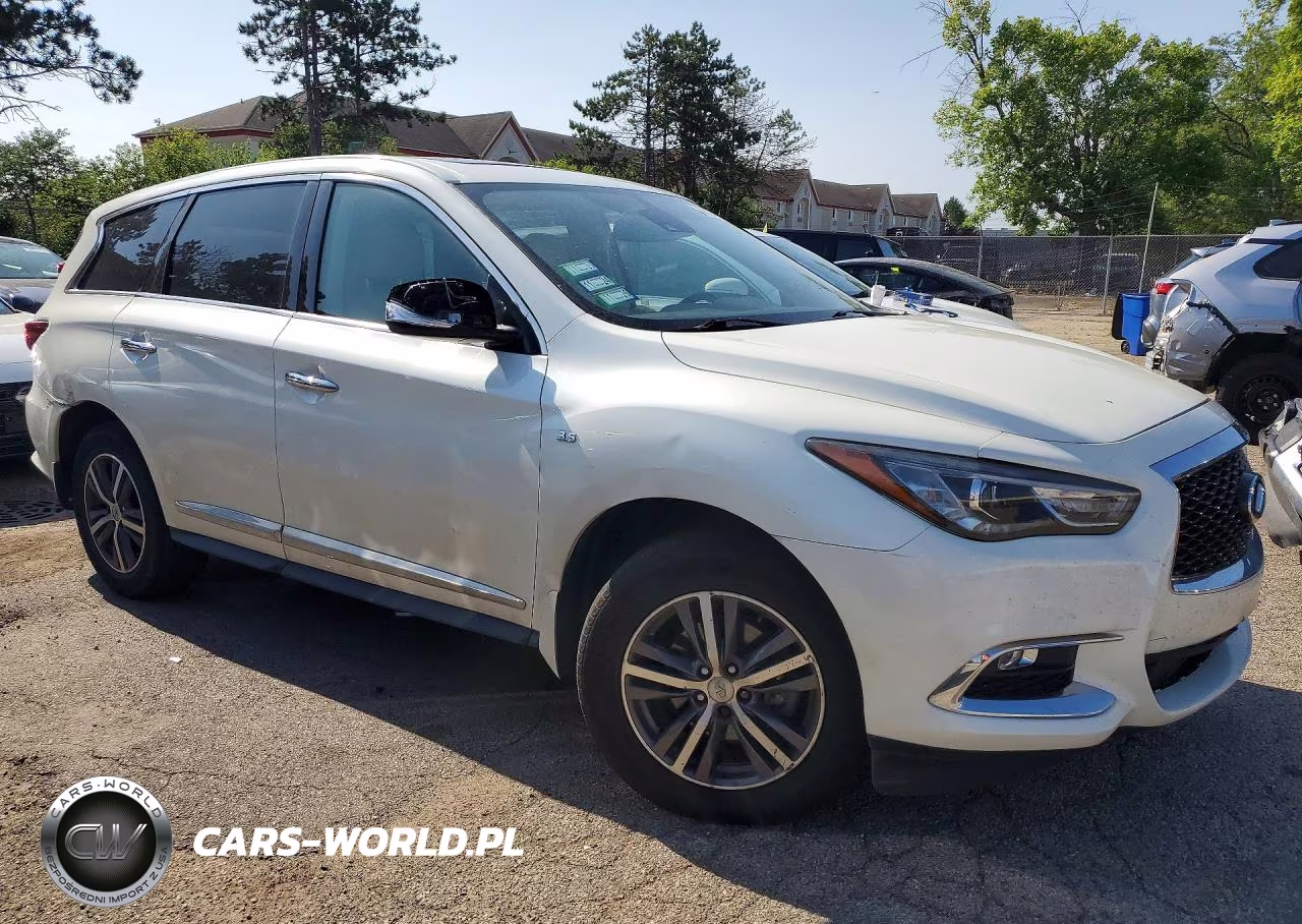 2019 Infiniti Qx60 Pure VIN:5N1DL0MM6KC554162 - 4
