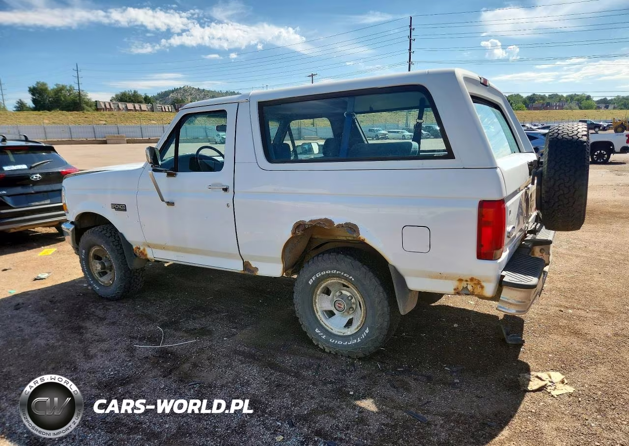 1994 Ford Bronco U100 VIN:1FMEU15N0RLB52467 - 2