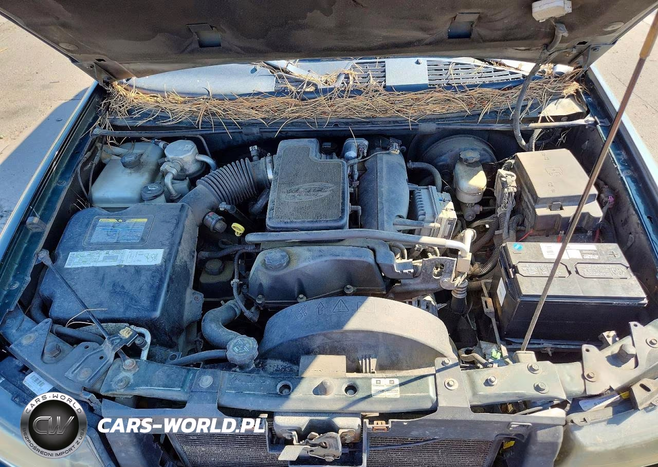 2002 Chevrolet Trailblazer Ext VIN:1GNET16S626134207 - 12