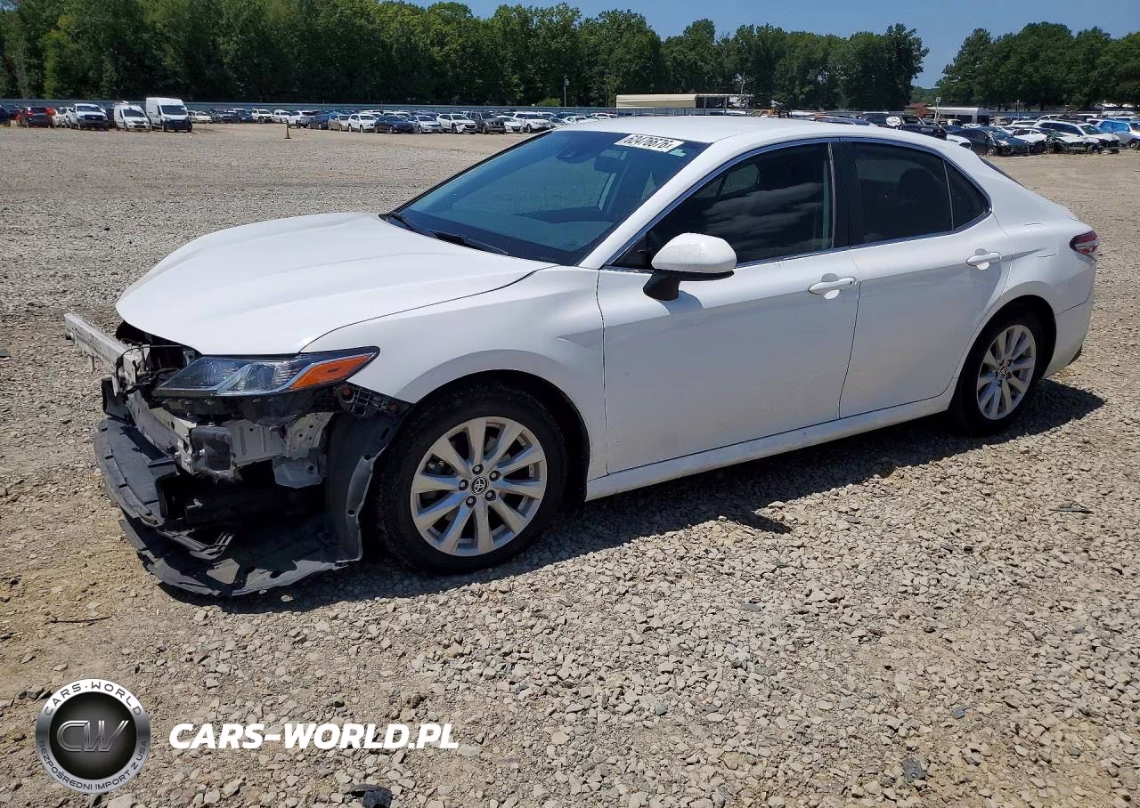 2020 Toyota Camry Le VIN:4T1C11AK5LU982780 - 1