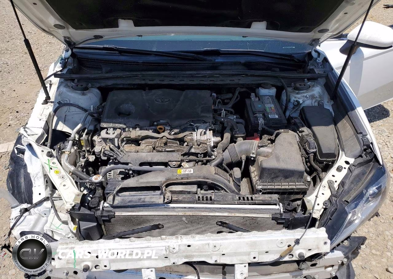 2020 Toyota Camry Le VIN:4T1C11AK5LU982780 - 11