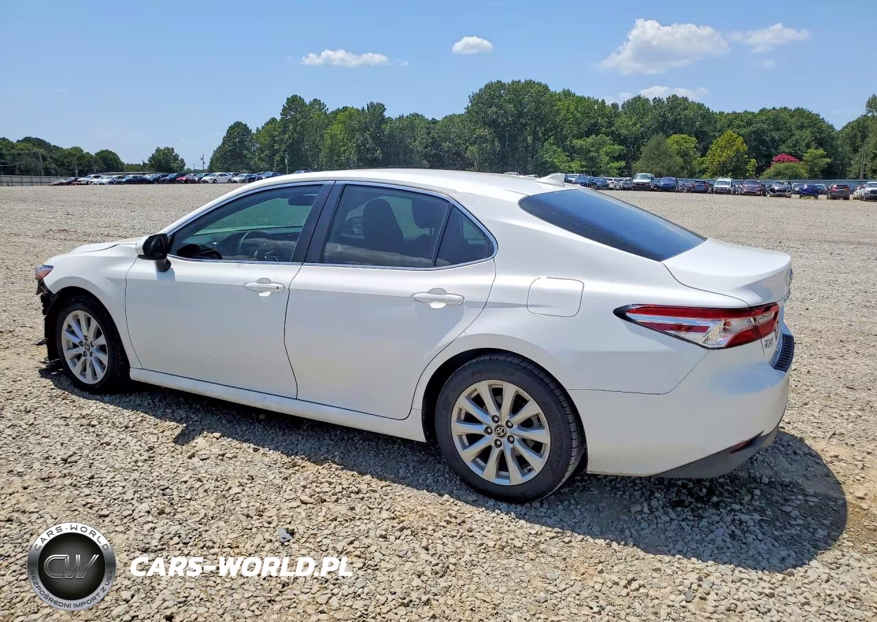 2020 Toyota Camry Le VIN:4T1C11AK5LU982780 - 2