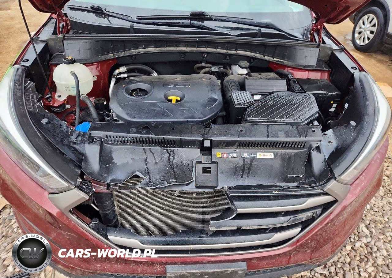 2016 Hyundai Tucson Se VIN:KM8J3CA46GU198581 - 12