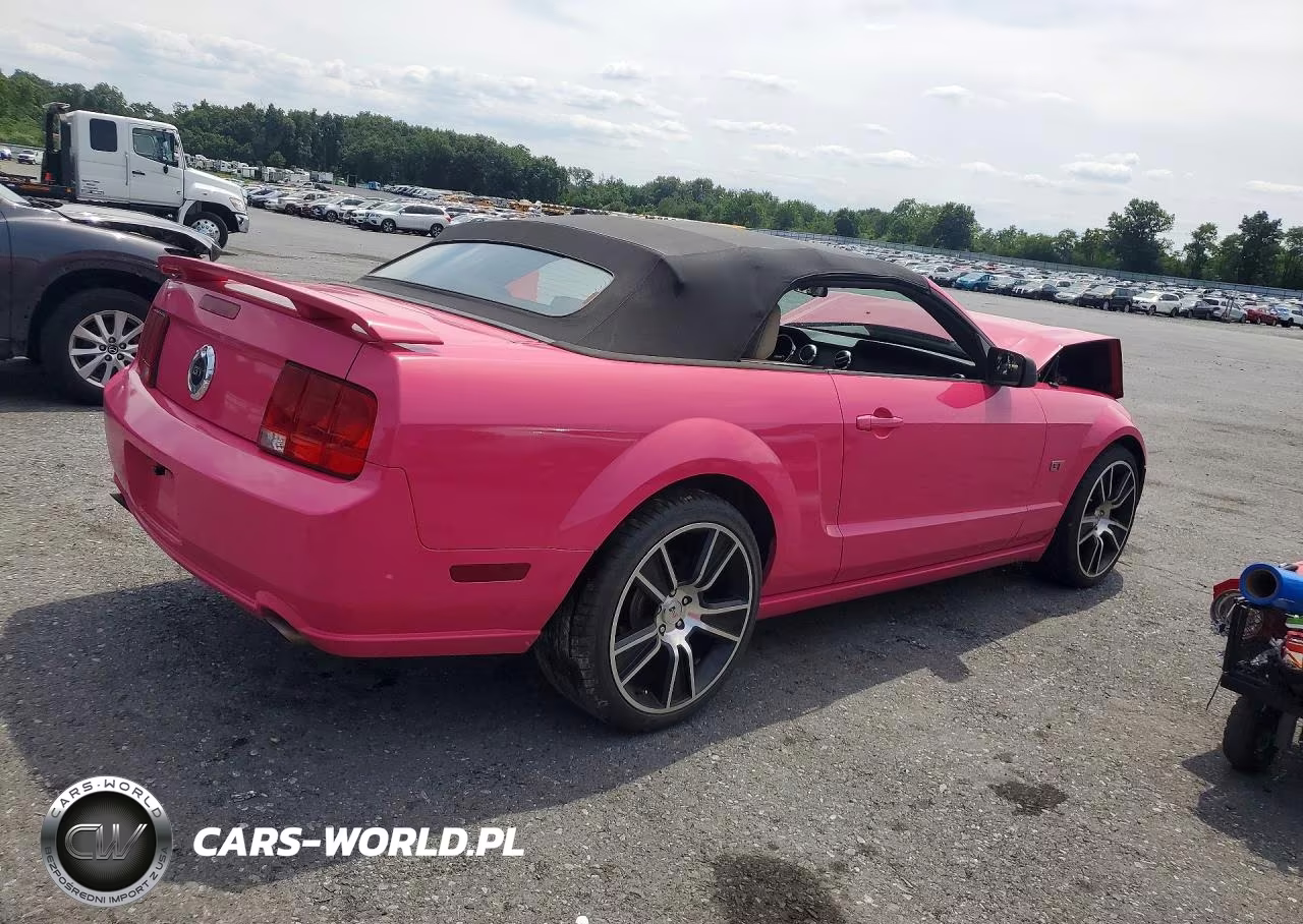 2006 Ford Mustang Gt VIN:1ZVFT85H465125767 - 3