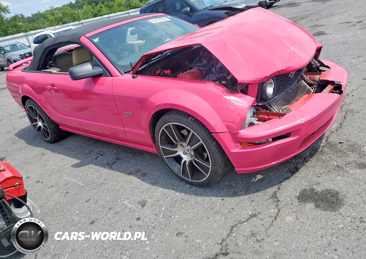 2006 Ford Mustang Gt VIN:1ZVFT85H465125767 - 4