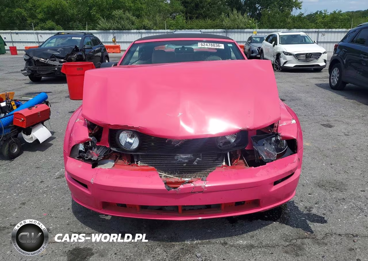 2006 Ford Mustang Gt VIN:1ZVFT85H465125767 - 5