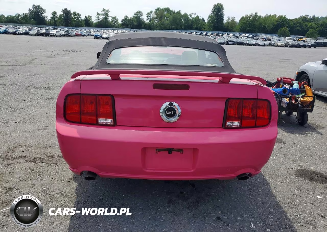 2006 Ford Mustang Gt VIN:1ZVFT85H465125767 - 6