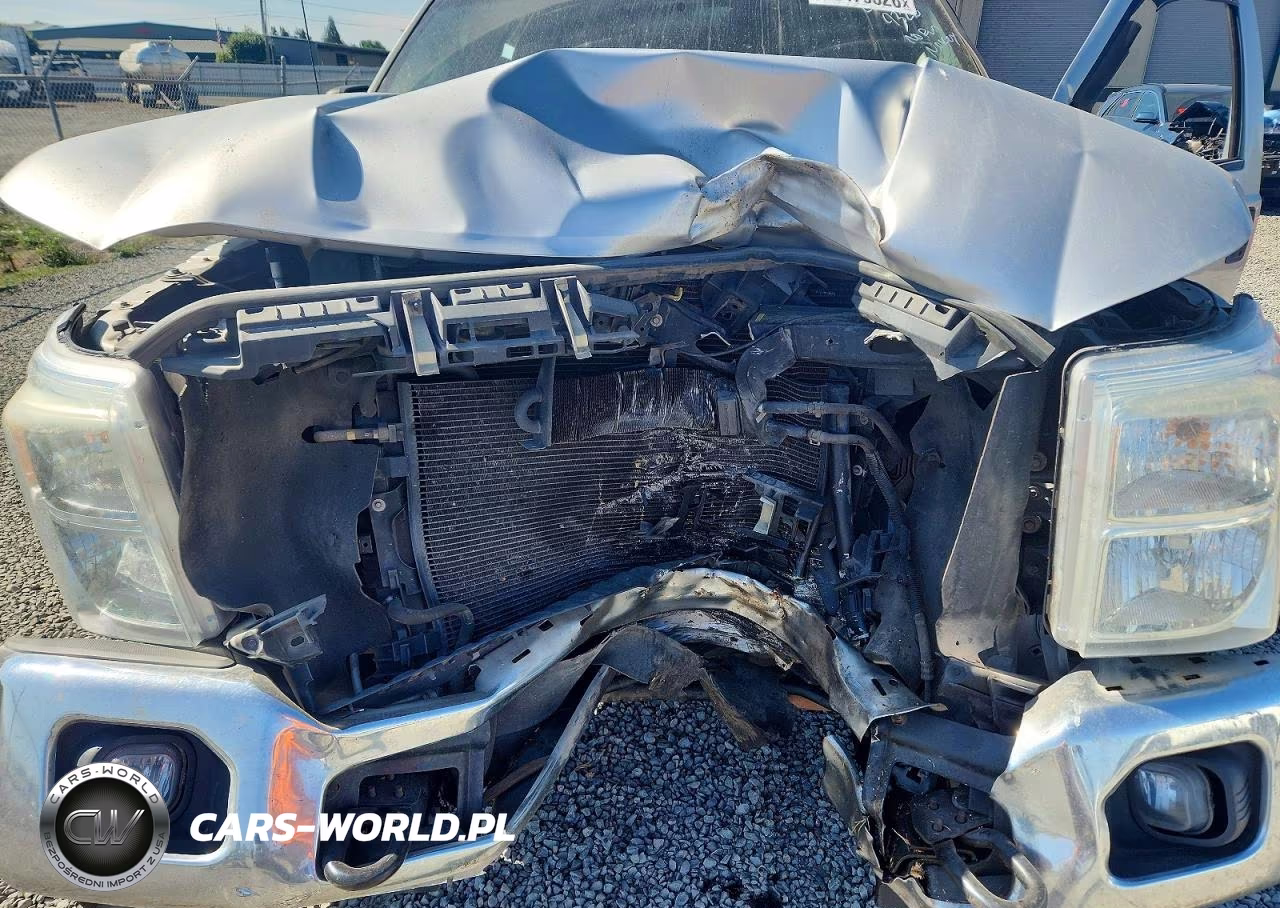 2011 Ford F250 Super Duty VIN:1FT7W2B62BEA16846 - 11