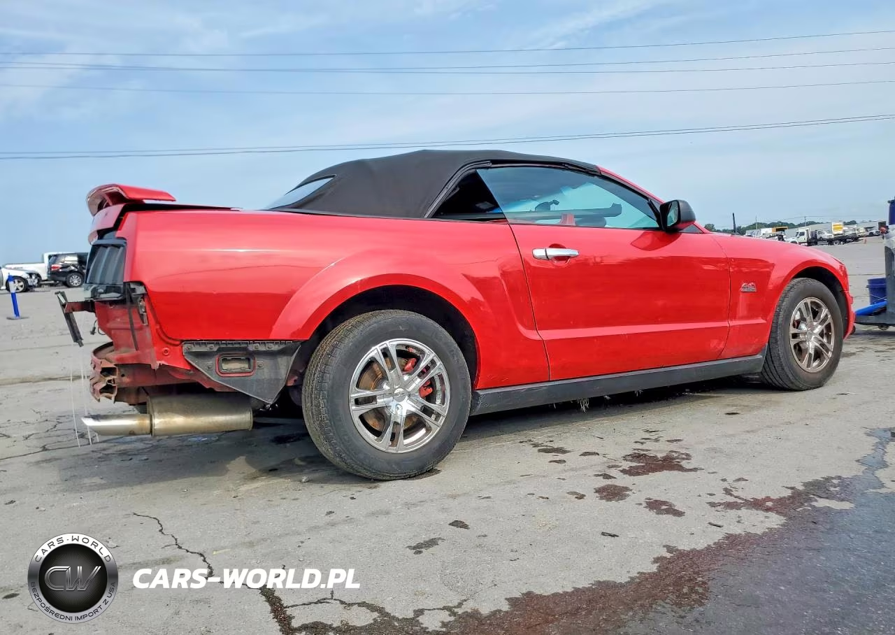 2005 Ford Mustang VIN:1ZVFT84N055234278 - 3