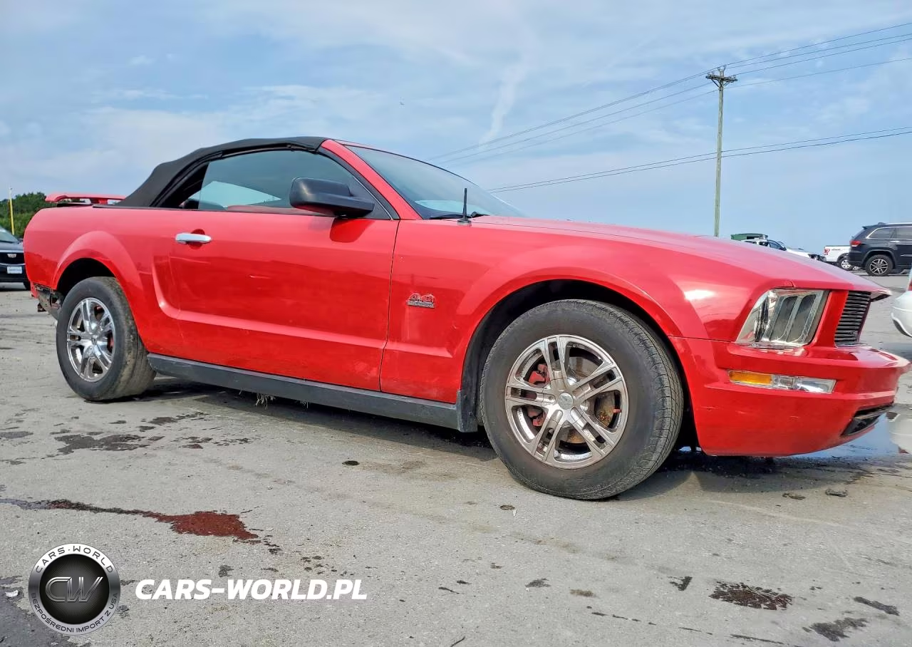 2005 Ford Mustang VIN:1ZVFT84N055234278 - 4
