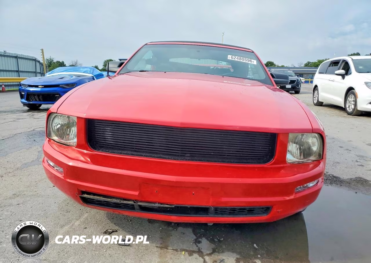 2005 Ford Mustang VIN:1ZVFT84N055234278 - 5