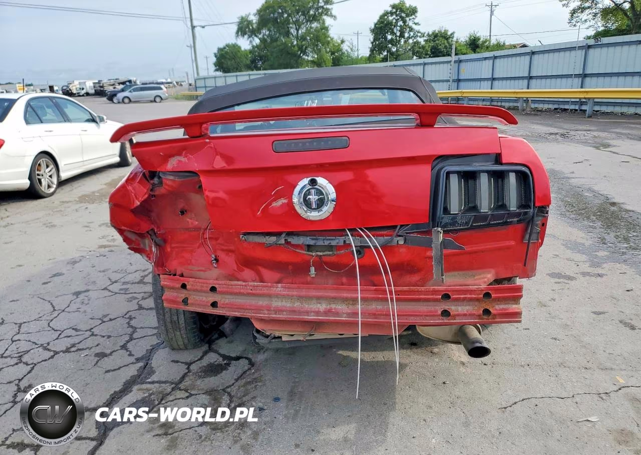 2005 Ford Mustang VIN:1ZVFT84N055234278 - 6